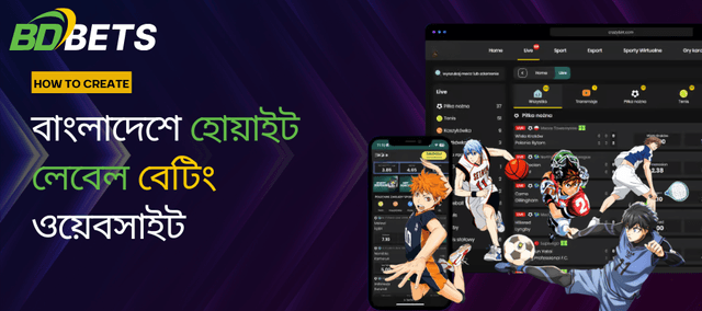 হোয়াইট লেবেল বেটিং ওয়েবসাইট কীভাবে তৈরি করবেন: সম্পূর্ণ গাইড