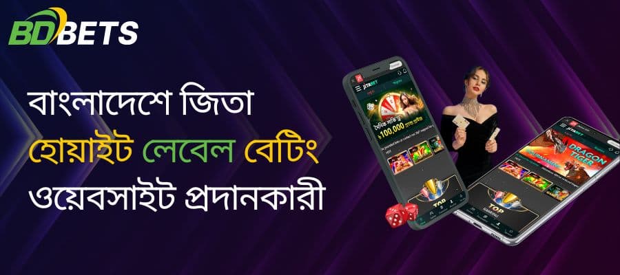 অনলাইনে বাজির দুনিয়া: জিতা বেটিং ওয়েবসাইট নিয়ে জানুন