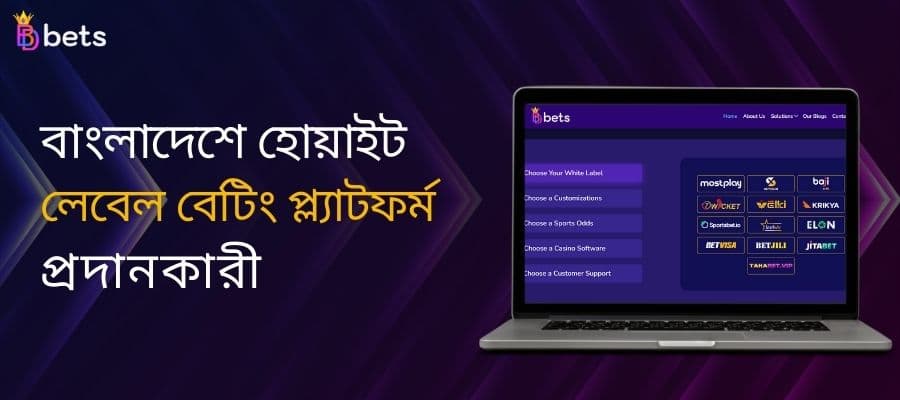 বাংলাদেশের হোয়াইট লেবেল বেটিং প্ল্যাটফর্ম সম্পর্কে আপনার যা জানা দরকার